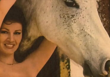 Vintage Taboo, Pussy & Pooch